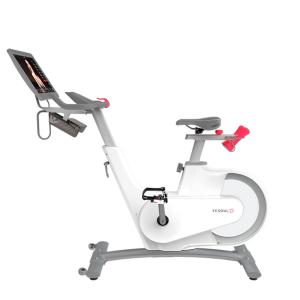 Купить Велотренажер Yesoul BV1-W PLUS в Обояни 